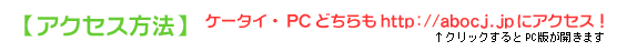 �A�N�Z�X���@