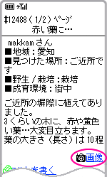 各記事画面