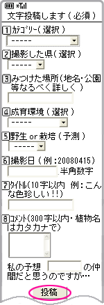 文字投稿画面