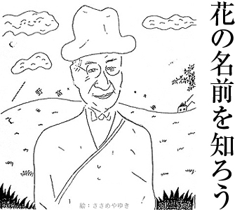 牧野富太郎博士/版画：ささめやゆき