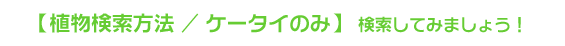 �A���������@/�P�[�^�C�̂݁@�������Ă݂܂��傤�I