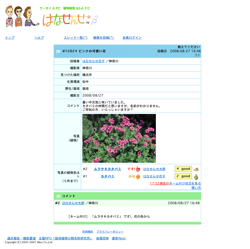 �X���b�h���