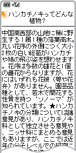 ﾊﾝｶﾁﾉｷ検索結果画面1