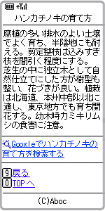 ﾊﾝｶﾁﾉｷ検索結果画面2