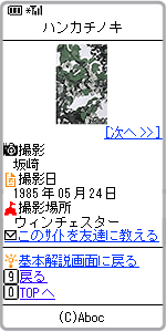 ﾊﾝｶﾁﾉｷ検索結果画面3