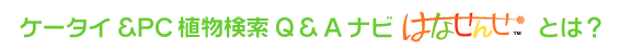 �g�ѐA���i�r�u�͂Ȃ��񂹁v�Ƃ́H