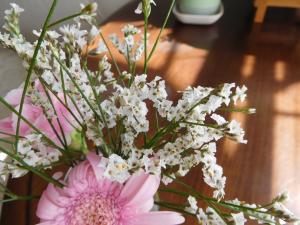 花束の白い花について はなせんせ