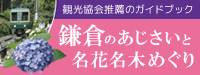 鎌倉のあじさいと名花名木めぐり