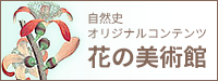 自然史オリジナルコンテンツ　花の美術館